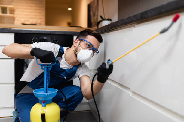 Best Affordable Pest Control Services  in St Joseph, MI