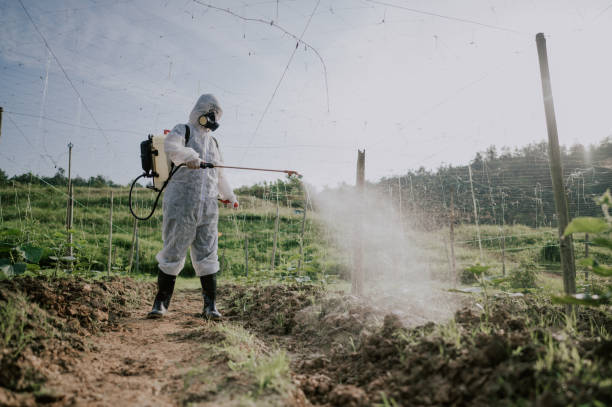 Best Pest Prevention Services  in St Joseph, MI