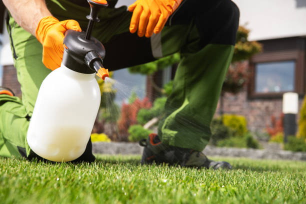 Best Cockroach Control Services  in St Joseph, MI
