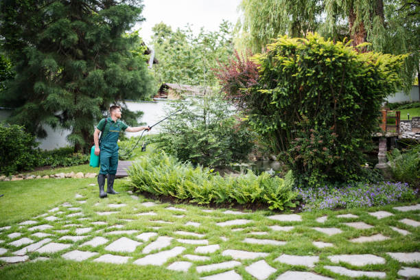 Best Pest Control for Homes  in St Joseph, MI
