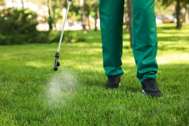 Best Emergency Pest Control  in St Joseph, MI