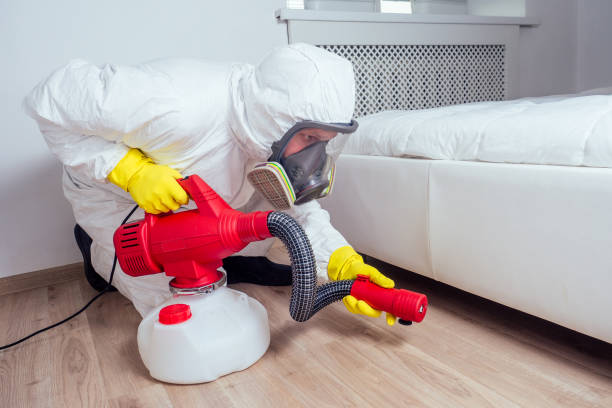 Professional Pest Control in St Joseph, MI