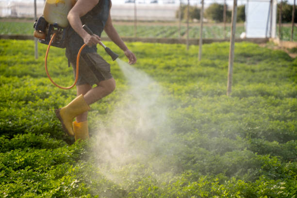 Best Exterminator Services  in St Joseph, MI