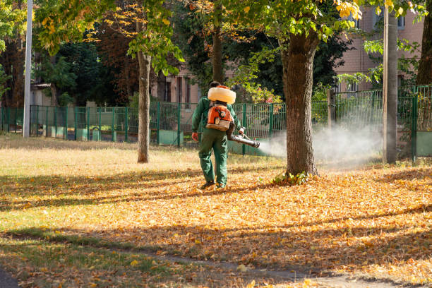 Best Commercial Pest Control Services  in St Joseph, MI