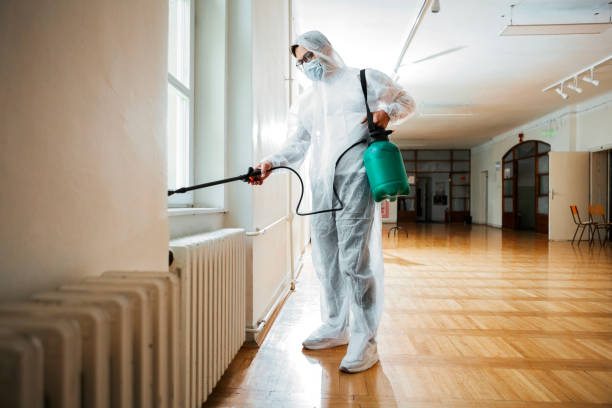 Best Termite Control Services  in St Joseph, MI