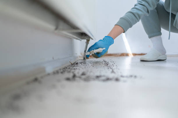 Best Ant Control Services  in St Joseph, MI